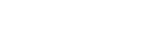 Netson Technologies