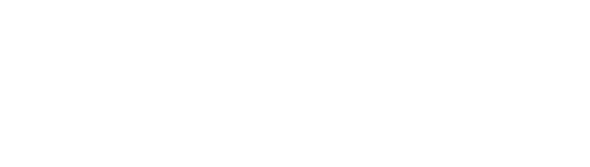 Netson Technologies
